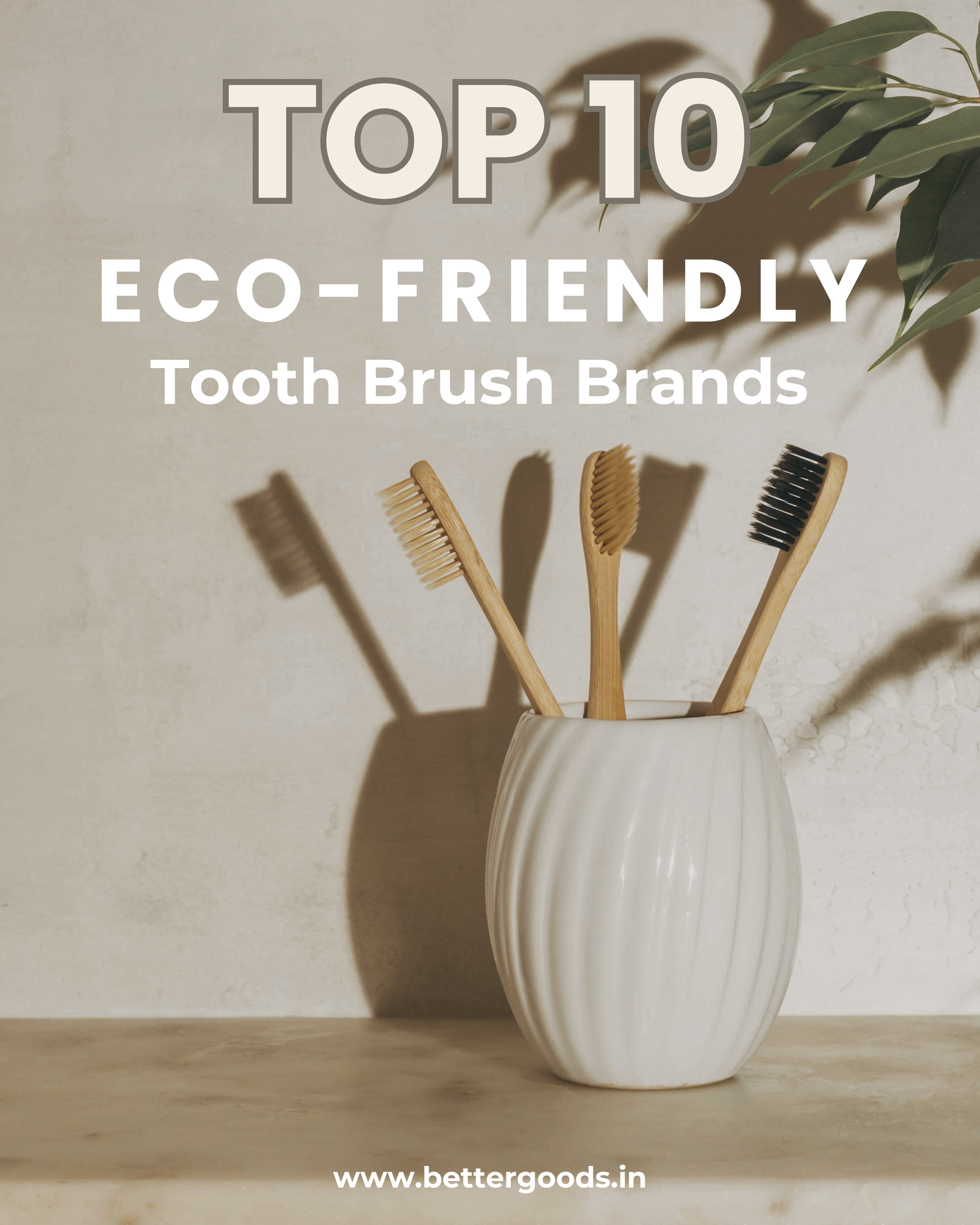 Embrace Green Smiles: Top 10 Eco-Friendly Toothbrushes for Sustainable Oral Care