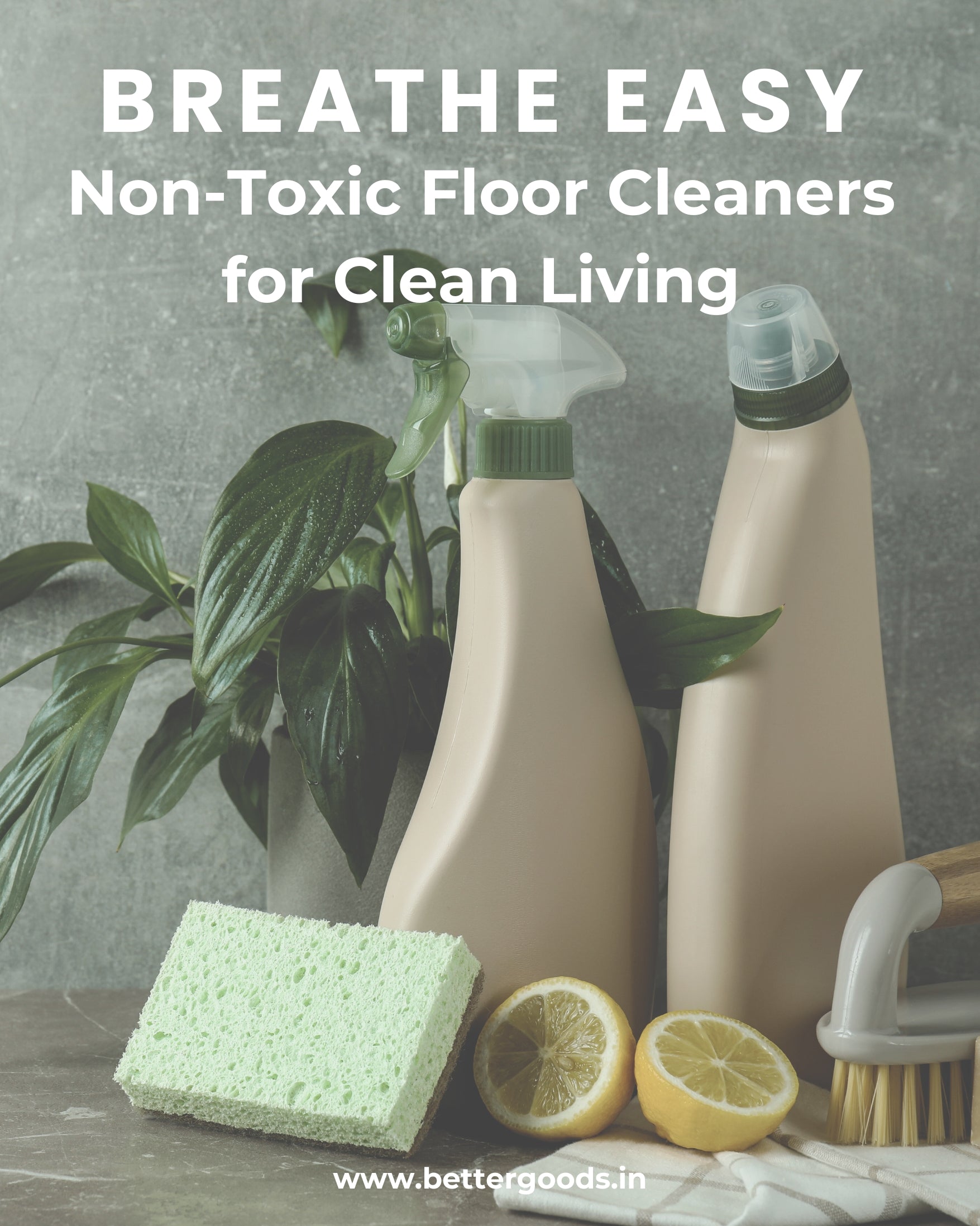 A Guide to Non-Toxic Floor Cleaners - All Biodegradable and Pet Safe Options